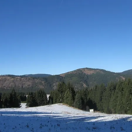 Forest View *